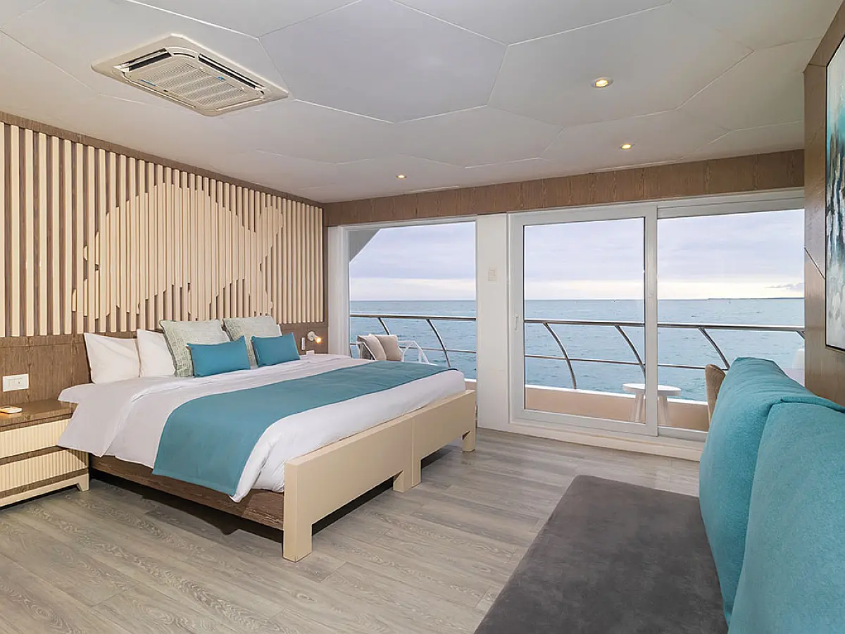 Power Cat - Elite Cabin